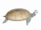 Jozefina 11.083, 11-inch Diameter Turtle Glass Bowl, EA