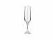 Crystalex B40428-180 6 Oz Julia Classic Elegant Design Long Stem Champagne Flute, 6/SET